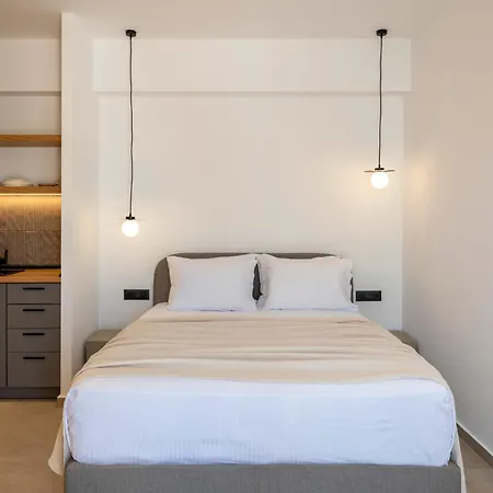 Anemelia Way Of Living