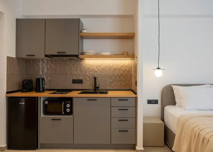 Anemelia Way Of Living Ξενοδοχείο με διαμερίσματα Νάουσα