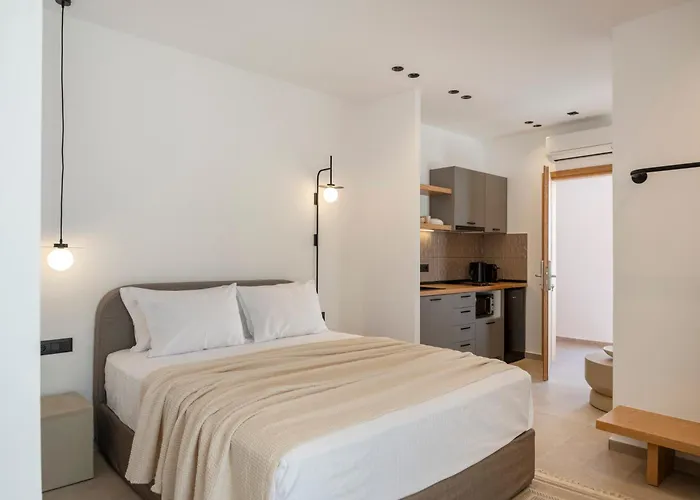 Ξενοδοχείο με διαμερίσματα Anemelia Way Of Living Νάουσα