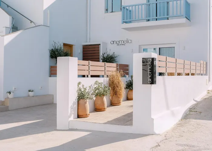 Anemelia Way Of Living 4* Νάουσα