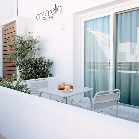Anemelia Way Of Living מלון דירות