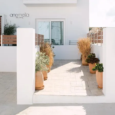 Anemelia Way Of Living מלון דירות