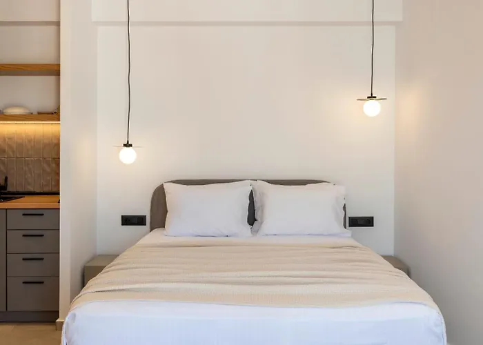 Anemelia Way Of Living